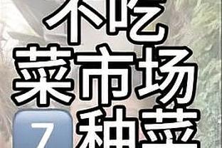 雷竞技相似的app